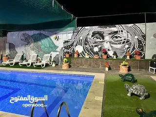  14 شاليه للايجار اليومي موبص
