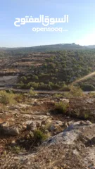  18 القبة الذهبية  اراضي بلعا دير الغصون