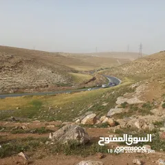  10 أرض مميزة للبيع في طبربور عين أرباط بجانب مسجد القناديل ترخيص جاهز وجميع الخدمات موجودة مثل صرف صحي