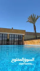  31 شالية الترف