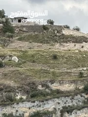  11 استراحة استثماريه للبيع مطله على وادي الريان قوشان مستقل 3،5 دونم مشجرة بالكامل مع مواقف سيارات