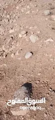  7 قطعه ارض للبيع