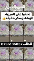  10 كعك ومعمول ومقروطه وغريبه ودحدح وورق عنب وملوخيه وكبه  ومقدوس وكيك