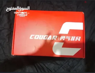  2 cougar 509