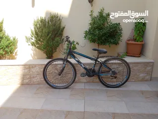  1 بسكليت للبيع