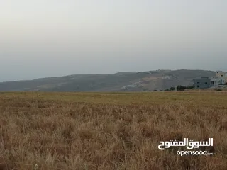  3 مادبا ماعين المشرفة قطعة ارض زراعية مميزة واصل الخدمات ذات اطلالة على البحر الميت واصل الخدمات