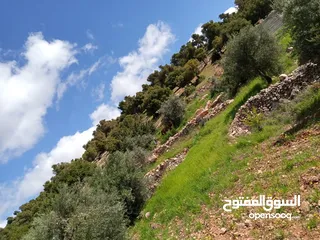  1 ارض للبيع 578 متر للبيع على شارع 30 متر