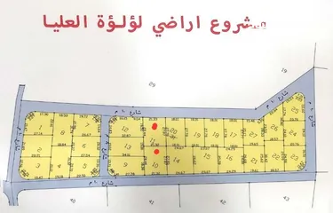  1 قطعة ارض 600 متر واجها على الشارع 22 مشترك مع 3 دونمات محدد مقتطع منها شوارع 600 صافيات