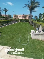  3 نجيل طبيعي بسبيلم بيور