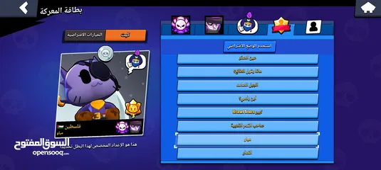  6 حساب براول للبيع بسعر مناسب 500شيقل التسليم وجه لوجه