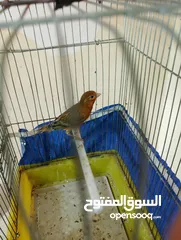  27 Othman10Othman@@