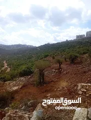  3 ارض بناء  اول كوبر  و داخل حدود البلدية