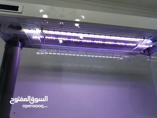  9 حوض أجنبي متر ونص