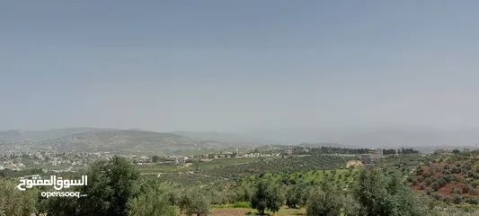 2 ارض 950 م للبيع  موقع مميز  الجبل الاخضر بالقرب من المحافظه ومديرية الشرطه
