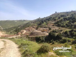  5 ارض للبيع في منطقة واد رحال حوض البيضة الجنوبي الشراء من المالك مباشره