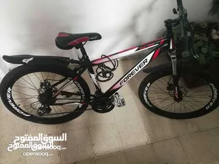  2 دراجة هوائية للإيجار