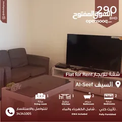  1 2 BHK FULLY FURNISHED FLAT IN SEEF AREA