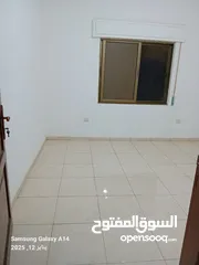  1 شقه صغيره قرب المختار مول