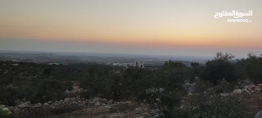  1 قطعة ارض مطلة عالساحل المحتل