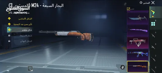  30 حساب ببجي ليفل 70