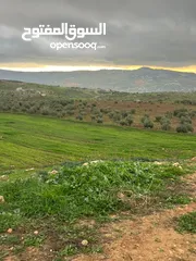  11 ارض للبيع جرش عنيبه منطقة شاليهات مساحة الارض 3500متر بقوشان مستقل اطلاله مميزه جدا جدا