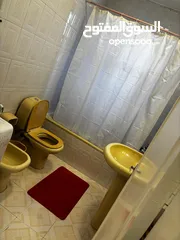  4 Furnished Apartment to Rent  ( Property 41440 )-174804751