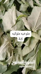  16 تفريزات ومونه البيت