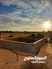  29 مزرعه 2 هكتار بمدينة الزاويه بسعر مناقس