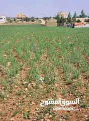  3 ارض للبيع رحاب طريق الزرقاء اربد جسر رحاب