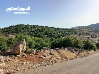  3 أرض متعددة الاستخدامات في أجمل مناطق عجلون