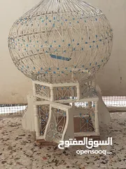  2 قفص تونسي مستعمل من الحجم الكبير