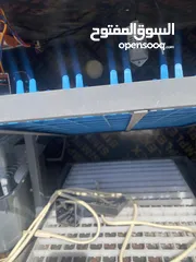  5 فقاسة بيض للبيع