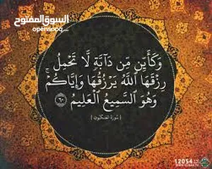  2 عمارة النوفليين شارع المواد الكهربائية تبعد على حوالي 30 متر مساحة 136 خمسة شقق تشطيب 2011