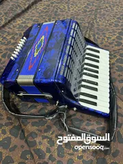  1 Blue Accordion Baronelli Rossetti