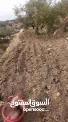  15 ارض على طريق بلعا دير الغصون قبل مفرق اكتابا