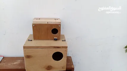  2 كواخ عصافير وكوكتيل بسعرر حرق يوجد كميات