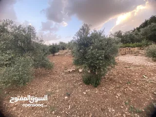  10 للبيع: أرض بإطلالة خلابة وموقع هادئ في دابوق من المالك مباشرة فيها منسوب