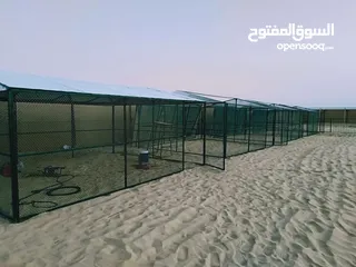  15 cage for garden