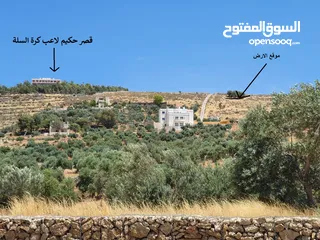  1 قطعة ارض سكن ريفي موقع مميز ومشرفة اطراف شفا بدران ام رمانة