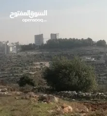  2 ارض مميزه للبيع
