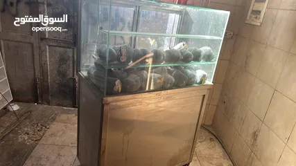  4 عدة مطعم للبيع بيت لحم