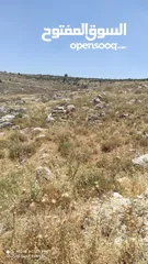  7 أرض للبيع في روجيب