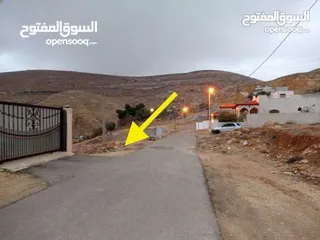  2 دونم ارض للبيع - الطفيلة - حي وادي زيد