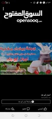  2 جبنه غنم صافي