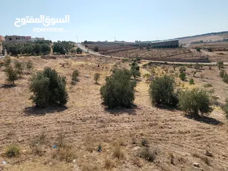  16 لقطة ؛ أرض زراعية مع غرفة على حدود الطفيلة والكرك ، تصلح للاستثمار كمزرعة سياحية أو منتجع سياحي