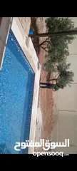  18 بناء مسابح بنظام سكيمر