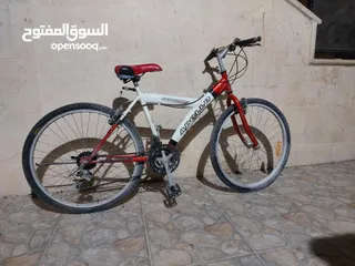  1 دراجة هوائية للبيع