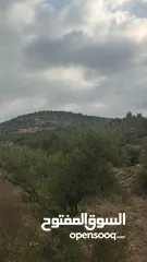  2 قطعة ارض حوض شعب سنان
