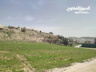  5 للبيع قطع اراضي في عيون الجاموس