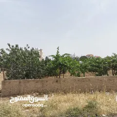  12 قطعة أرض للبيع